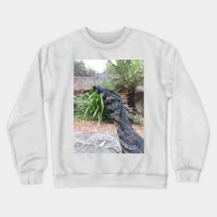 Lace Monitor or Goanna Crewneck Sweatshirt